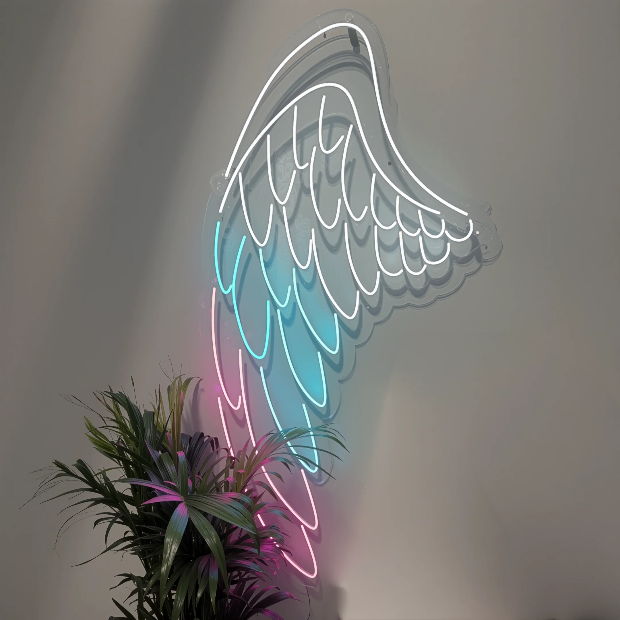 Acrílico con luz neón flex